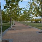 2017OTRA-1_1330 (August 30, 2017)